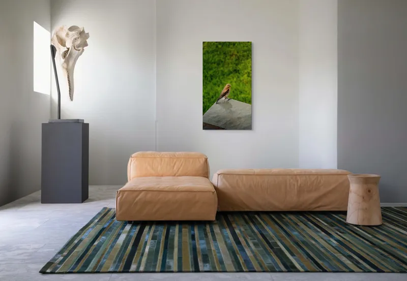 Tablou Canvas, "Pasărea contemplativă pe piatră udă", Pasăre, Verde, Natură, Panou, Singurătate, Contrast, Delicatețe, 50 x 90 cm – poza 5