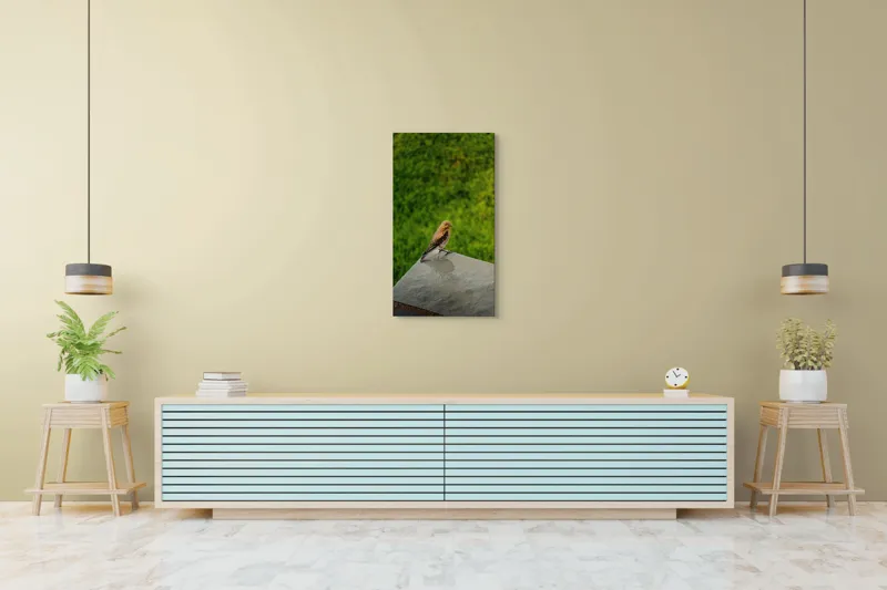 Tablou Canvas, "Pasărea contemplativă pe piatră udă", Pasăre, Verde, Natură, Panou, Singurătate, Contrast, Delicatețe, 50 x 90 cm – poza 6
