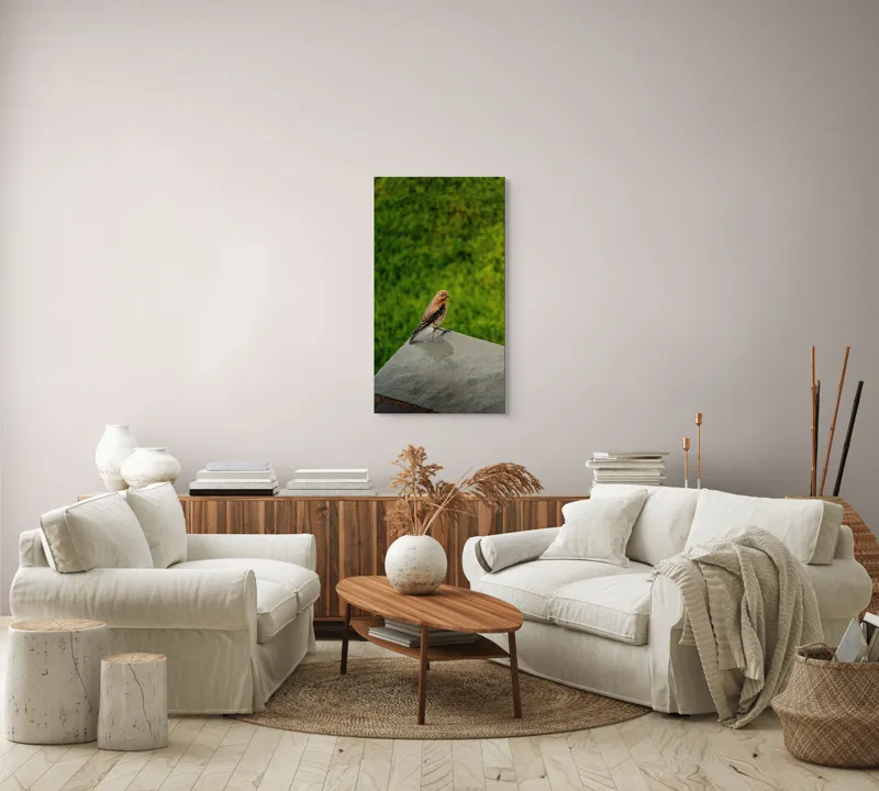 Tablou Canvas, "Pasărea contemplativă pe piatră udă", Pasăre, Verde, Natură, Panou, Singurătate, Contrast, Delicatețe, 50 x 90 cm – poza 7