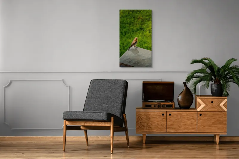 Tablou Canvas, "Pasărea contemplativă pe piatră udă", Pasăre, Verde, Natură, Panou, Singurătate, Contrast, Delicatețe, 50 x 90 cm – poza 8