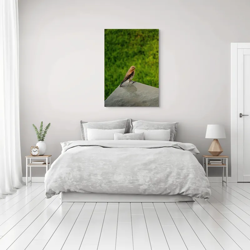 Tablou Canvas, "Pasărea contemplativă pe piatră udă", Pasăre, Verde, Natură, Panou, Singurătate, Contrast, Delicatețe, 70 x 100 cm – poza 3