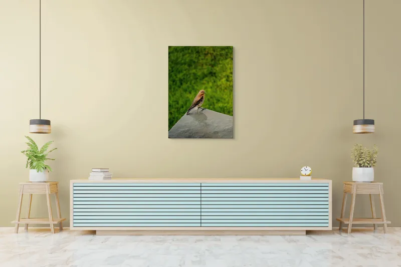 Tablou Canvas, "Pasărea contemplativă pe piatră udă", Pasăre, Verde, Natură, Panou, Singurătate, Contrast, Delicatețe, 70 x 100 cm – poza 5