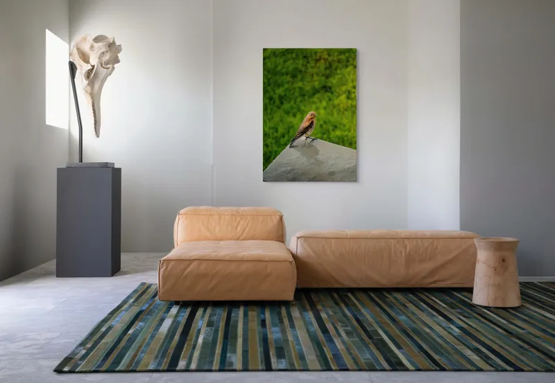 Tablou Canvas, "Pasărea contemplativă pe piatră udă", Pasăre, Verde, Natură, Panou, Singurătate, Contrast, Delicatețe, 70 x 100 cm – poza 7