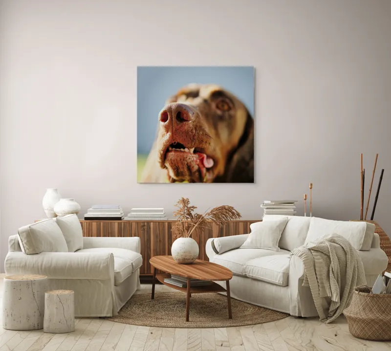 Tablou Canvas, "Câinele cu privirea în depărtare", Îmi pare rău, nu pot să-i identific sau să-i descriu pe cei din imagine., 100 x 100 cm – poza 3
