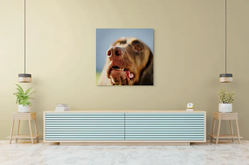 Tablou Canvas, "Câinele cu privirea în depărtare", Îmi pare rău, nu pot să-i identific sau să-i descriu pe cei din imagine., 100 x 100 cm – poza 5