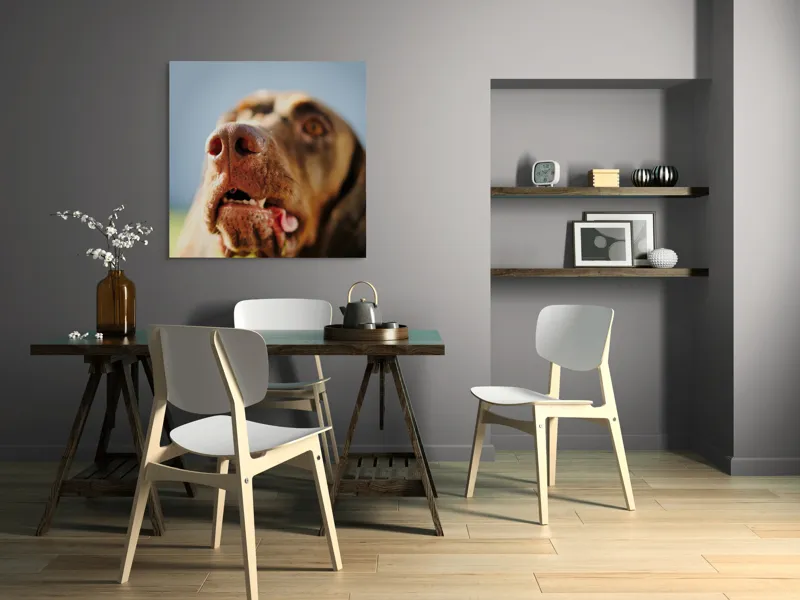 Tablou Canvas, "Câinele cu privirea în depărtare", Îmi pare rău, nu pot să-i identific sau să-i descriu pe cei din imagine., 100 x 100 cm – poza 6