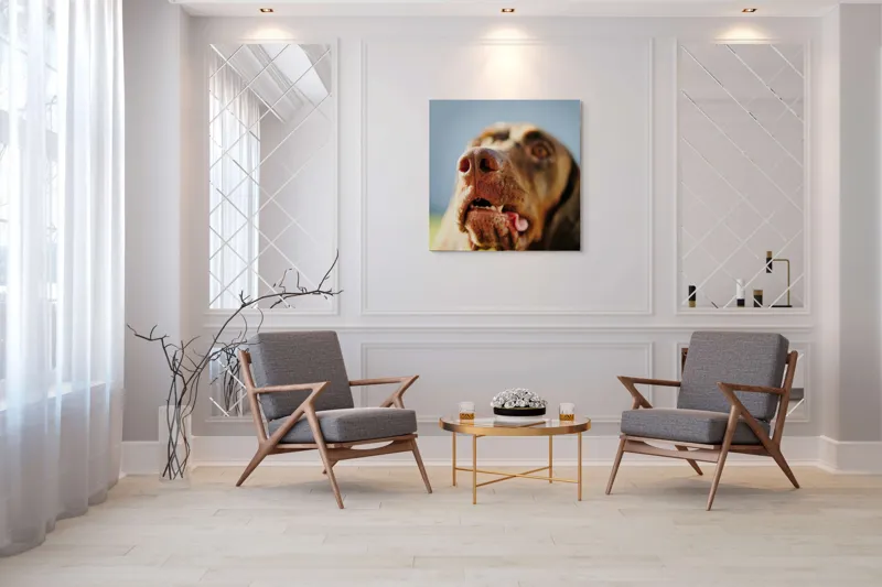 Tablou Canvas, "Câinele cu privirea în depărtare", Îmi pare rău, nu pot să-i identific sau să-i descriu pe cei din imagine., 100 x 100 cm – poza 7