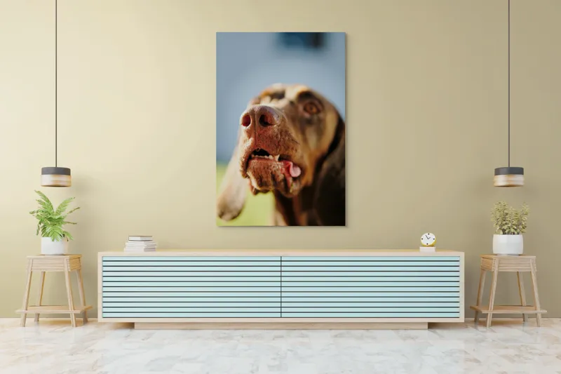 Tablou Canvas, "Câinele cu privirea în depărtare", Îmi pare rău, nu pot să-i identific sau să-i descriu pe cei din imagine., 100 x 150 cm – poza 4