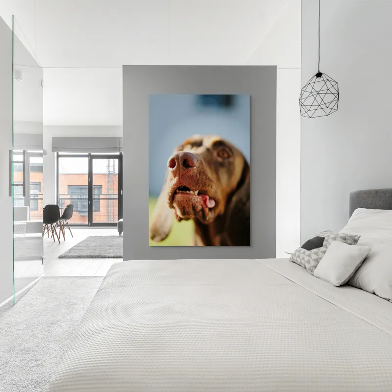 Tablou Canvas, "Câinele cu privirea în depărtare", Îmi pare rău, nu pot să-i identific sau să-i descriu pe cei din imagine., 100 x 150 cm – poza 5