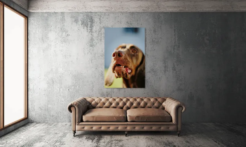 Tablou Canvas, "Câinele cu privirea în depărtare", Îmi pare rău, nu pot să-i identific sau să-i descriu pe cei din imagine., 100 x 150 cm – poza 6