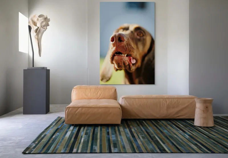 Tablou Canvas, "Câinele cu privirea în depărtare", Îmi pare rău, nu pot să-i identific sau să-i descriu pe cei din imagine., 100 x 150 cm – poza 7