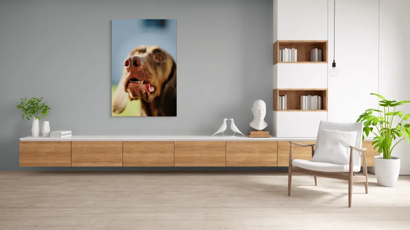 Tablou Canvas, "Câinele cu privirea în depărtare", Îmi pare rău, nu pot să-i identific sau să-i descriu pe cei din imagine., 100 x 150 cm – poza 8