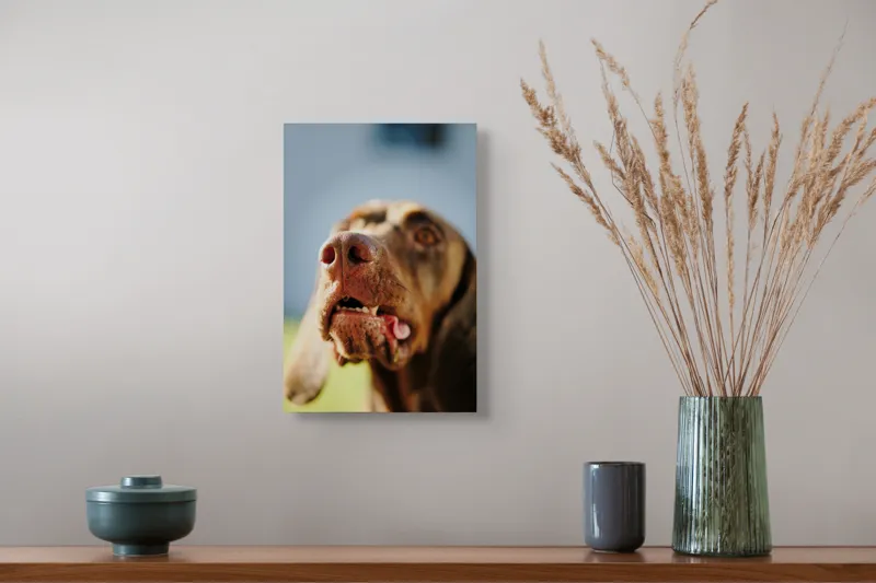 Tablou Canvas, "Câinele cu privirea în depărtare", Îmi pare rău, nu pot să-i identific sau să-i descriu pe cei din imagine., 26 x 39 cm – poza 5