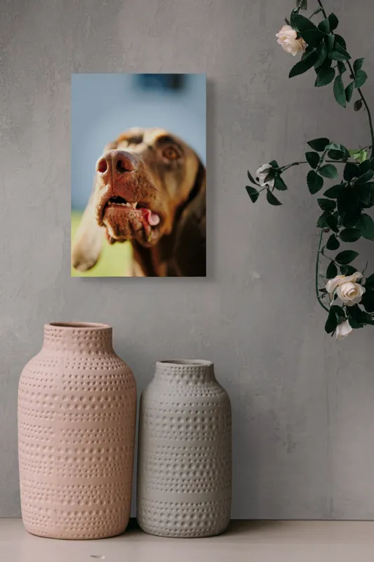 Tablou Canvas, "Câinele cu privirea în depărtare", Îmi pare rău, nu pot să-i identific sau să-i descriu pe cei din imagine., 26 x 39 cm – poza 6