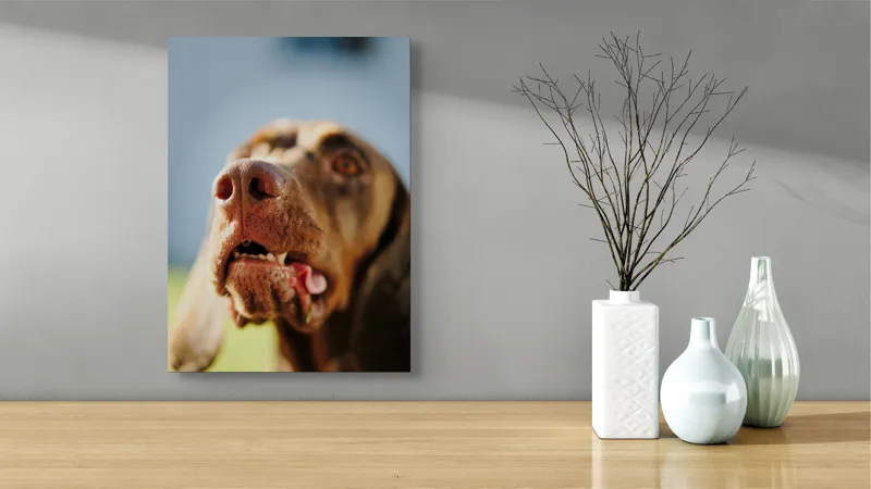Tablou Canvas, "Câinele cu privirea în depărtare", Îmi pare rău, nu pot să-i identific sau să-i descriu pe cei din imagine., 39 x 54 cm – poza 4