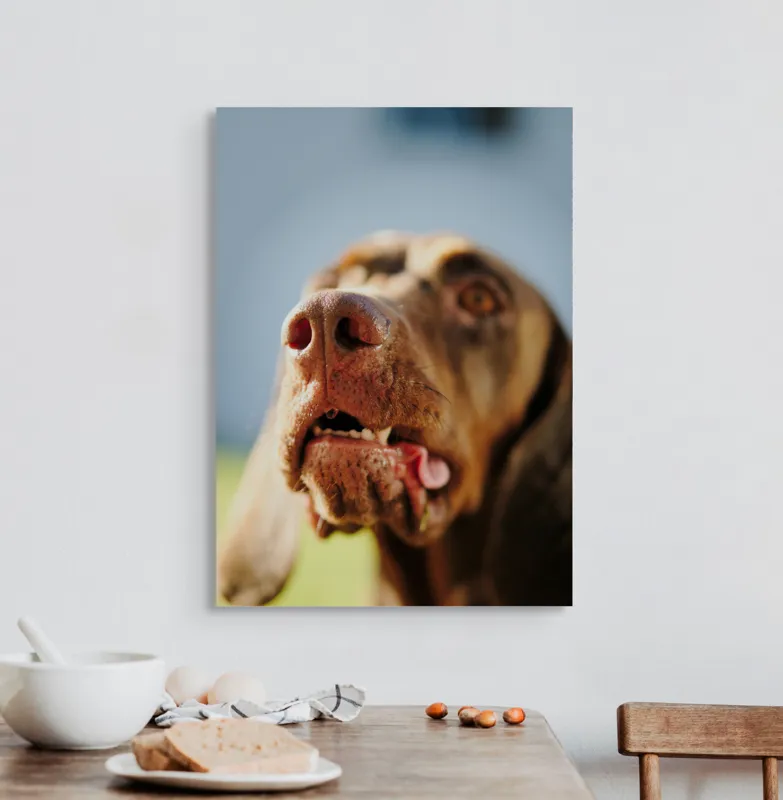 Tablou Canvas, "Câinele cu privirea în depărtare", Îmi pare rău, nu pot să-i identific sau să-i descriu pe cei din imagine., 50 x 70 cm – poza 3