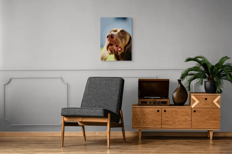 Tablou Canvas, "Câinele cu privirea în depărtare", Îmi pare rău, nu pot să-i identific sau să-i descriu pe cei din imagine., 50 x 70 cm – poza 8