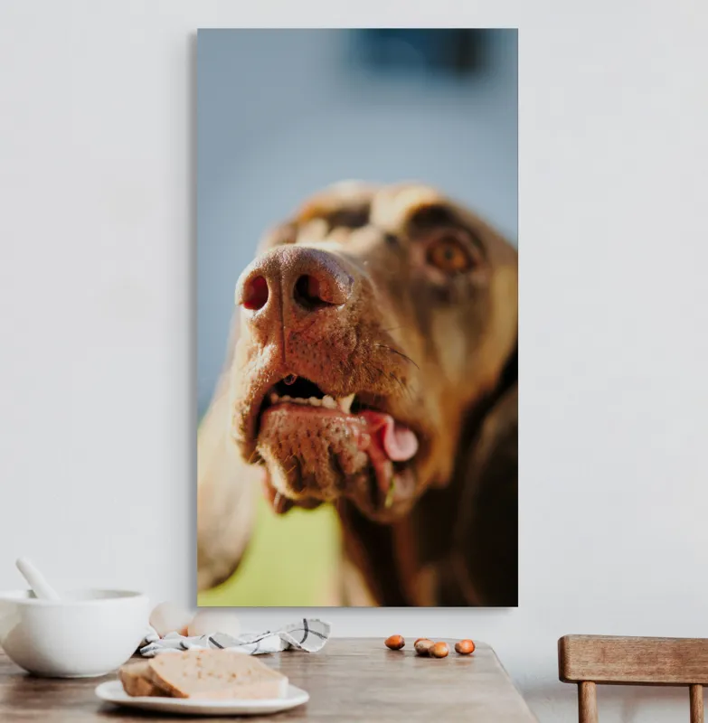 Tablou Canvas, "Câinele cu privirea în depărtare", Îmi pare rău, nu pot să-i identific sau să-i descriu pe cei din imagine., 50 x 90 cm – poza 3