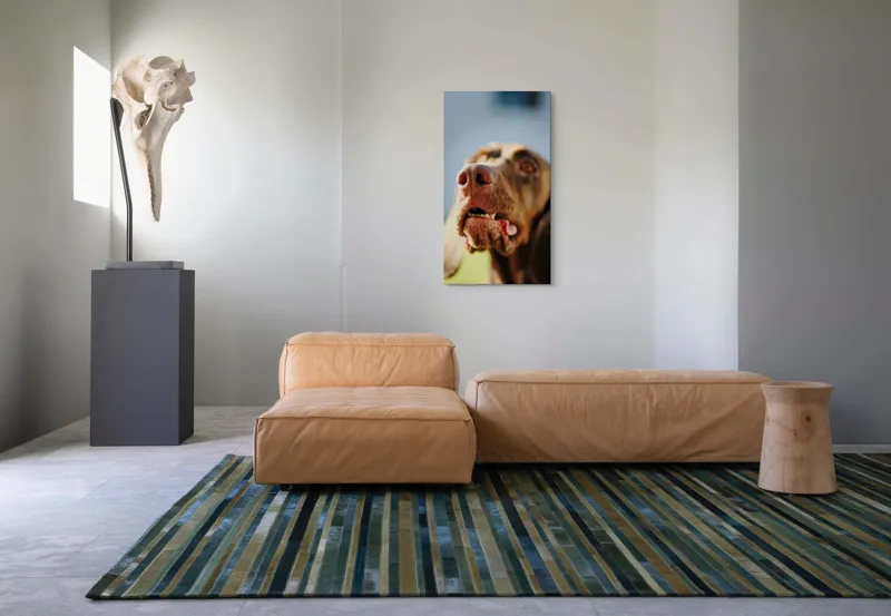 Tablou Canvas, "Câinele cu privirea în depărtare", Îmi pare rău, nu pot să-i identific sau să-i descriu pe cei din imagine., 50 x 90 cm – poza 5