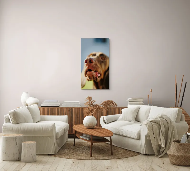 Tablou Canvas, "Câinele cu privirea în depărtare", Îmi pare rău, nu pot să-i identific sau să-i descriu pe cei din imagine., 50 x 90 cm – poza 7