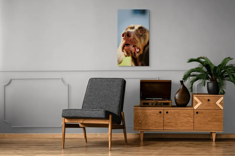 Tablou Canvas, "Câinele cu privirea în depărtare", Îmi pare rău, nu pot să-i identific sau să-i descriu pe cei din imagine., 50 x 90 cm – poza 8