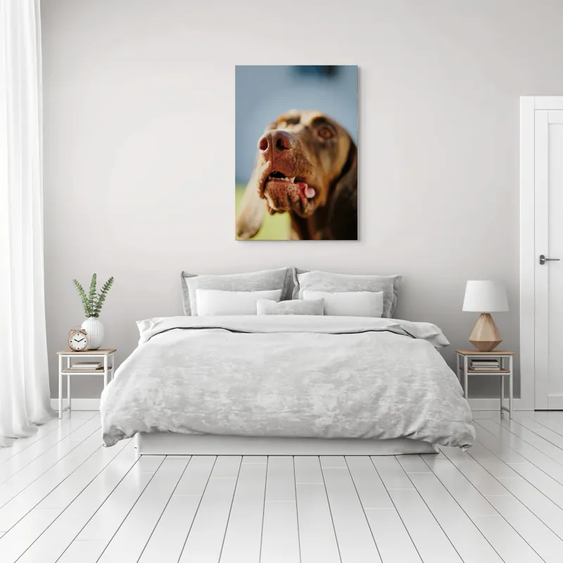 Tablou Canvas, "Câinele cu privirea în depărtare", Îmi pare rău, nu pot să-i identific sau să-i descriu pe cei din imagine., 70 x 100 cm – poza 3
