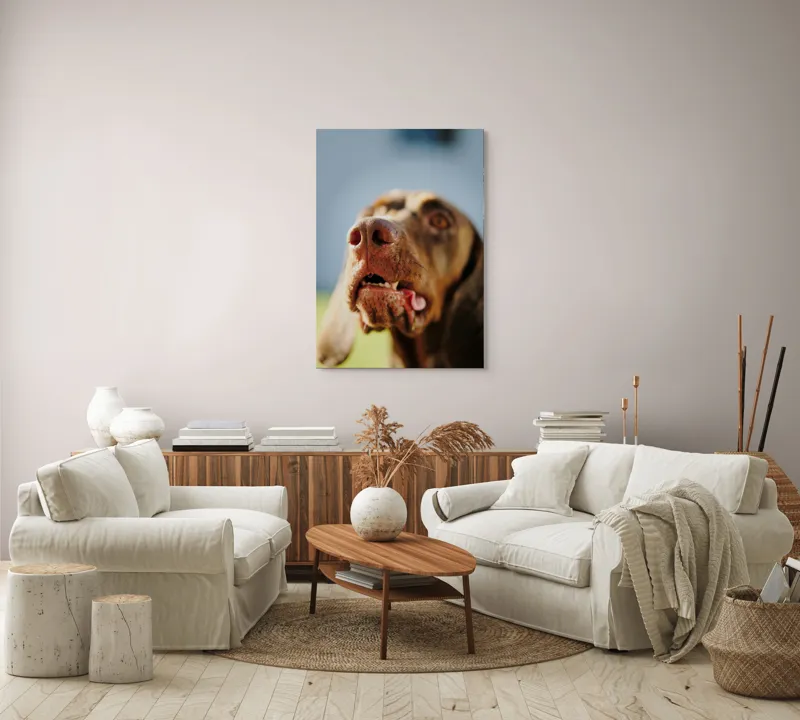 Tablou Canvas, "Câinele cu privirea în depărtare", Îmi pare rău, nu pot să-i identific sau să-i descriu pe cei din imagine., 70 x 100 cm – poza 4