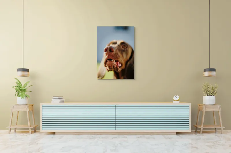 Tablou Canvas, "Câinele cu privirea în depărtare", Îmi pare rău, nu pot să-i identific sau să-i descriu pe cei din imagine., 70 x 100 cm – poza 5