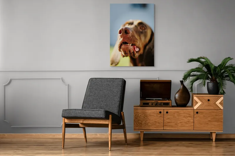 Tablou Canvas, "Câinele cu privirea în depărtare", Îmi pare rău, nu pot să-i identific sau să-i descriu pe cei din imagine., 70 x 100 cm – poza 6