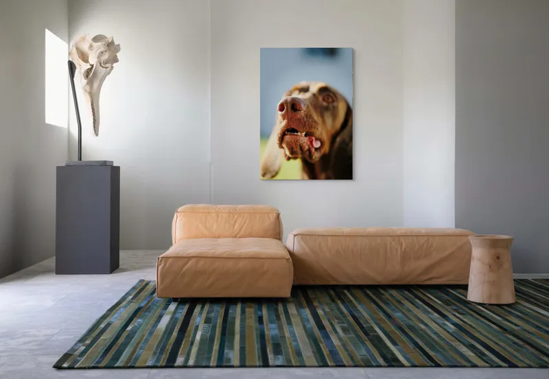 Tablou Canvas, "Câinele cu privirea în depărtare", Îmi pare rău, nu pot să-i identific sau să-i descriu pe cei din imagine., 70 x 100 cm – poza 7
