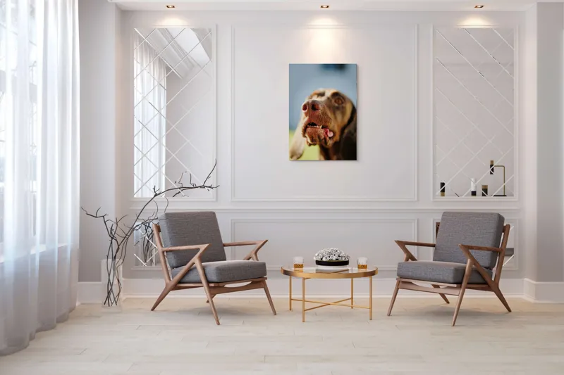 Tablou Canvas, "Câinele cu privirea în depărtare", Îmi pare rău, nu pot să-i identific sau să-i descriu pe cei din imagine., 70 x 100 cm – poza 8