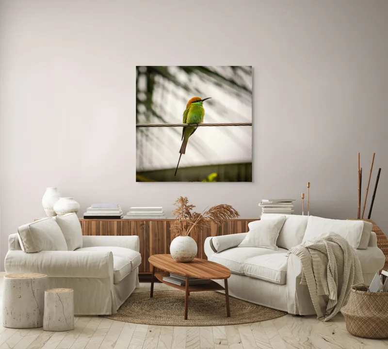 Tablou Canvas, "Pasărea culorilor tropicale odihnindu-se", Pene, Verde, Portocaliu, Fragil, Sârmă, Ochi, Vedere, Aripi, Contrast, Linia, Natură, 100 x 100 cm – poza 3