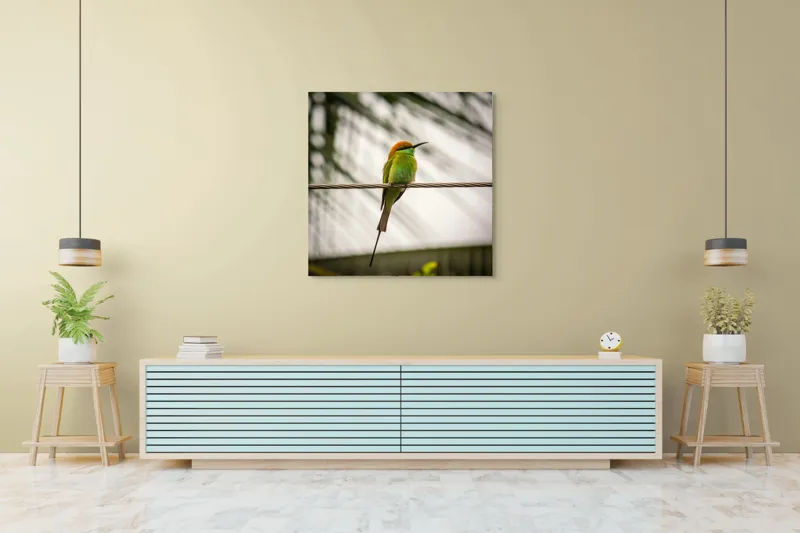 Tablou Canvas, "Pasărea culorilor tropicale odihnindu-se", Pene, Verde, Portocaliu, Fragil, Sârmă, Ochi, Vedere, Aripi, Contrast, Linia, Natură, 100 x 100 cm – poza 5