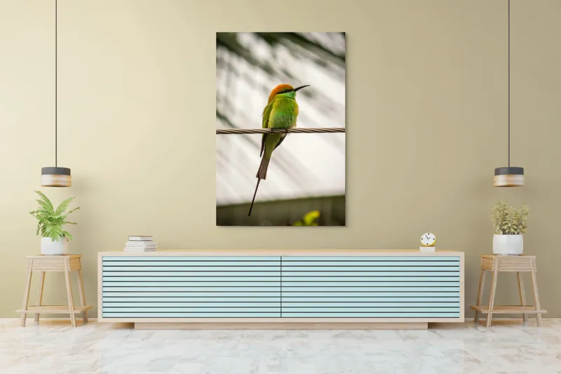 Tablou Canvas, "Pasărea culorilor tropicale odihnindu-se", Pene, Verde, Portocaliu, Fragil, Sârmă, Ochi, Vedere, Aripi, Contrast, Linia, Natură, 100 x 150 cm – poza 4