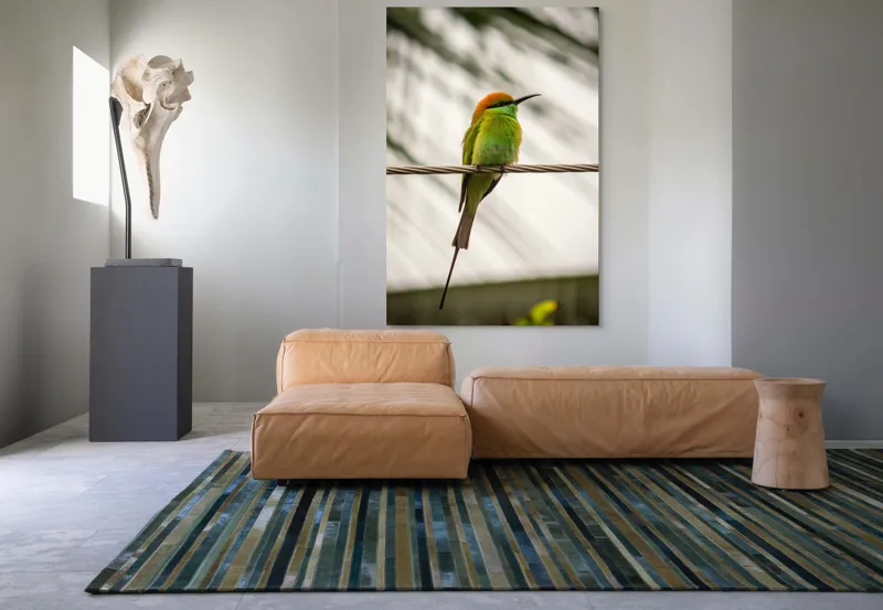 Tablou Canvas, "Pasărea culorilor tropicale odihnindu-se", Pene, Verde, Portocaliu, Fragil, Sârmă, Ochi, Vedere, Aripi, Contrast, Linia, Natură, 100 x 150 cm – poza 7