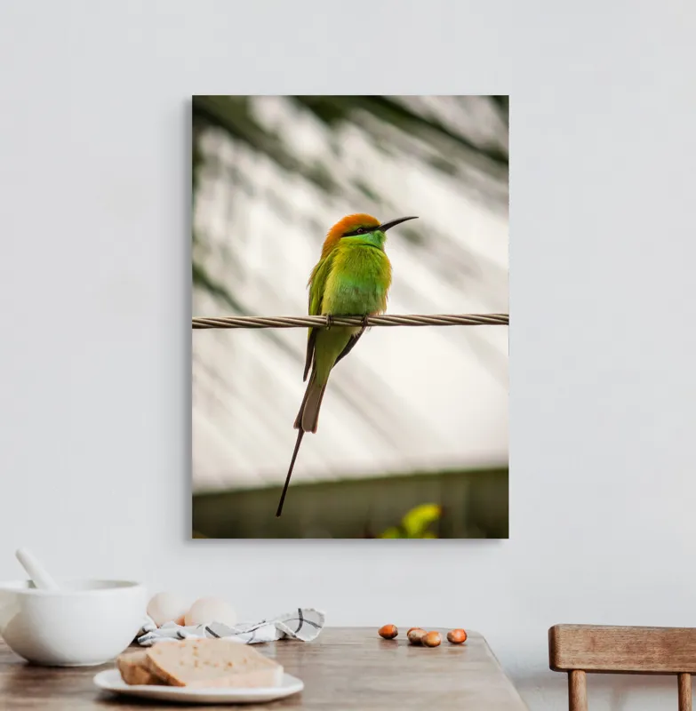 Tablou Canvas, "Pasărea culorilor tropicale odihnindu-se", Pene, Verde, Portocaliu, Fragil, Sârmă, Ochi, Vedere, Aripi, Contrast, Linia, Natură, 50 x 70 cm – poza 3