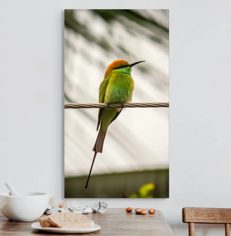Tablou Canvas, "Pasărea culorilor tropicale odihnindu-se", Pene, Verde, Portocaliu, Fragil, Sârmă, Ochi, Vedere, Aripi, Contrast, Linia, Natură, 50 x 90 cm – poza 3