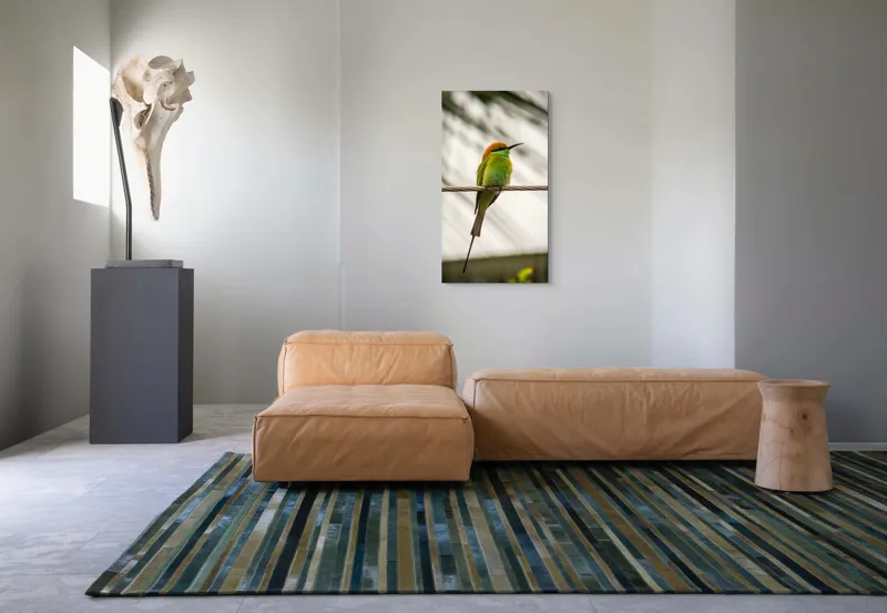 Tablou Canvas, "Pasărea culorilor tropicale odihnindu-se", Pene, Verde, Portocaliu, Fragil, Sârmă, Ochi, Vedere, Aripi, Contrast, Linia, Natură, 50 x 90 cm – poza 5