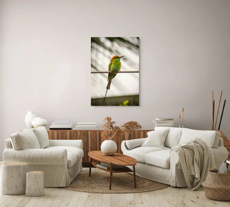 Tablou Canvas, "Pasărea culorilor tropicale odihnindu-se", Pene, Verde, Portocaliu, Fragil, Sârmă, Ochi, Vedere, Aripi, Contrast, Linia, Natură, 70 x 100 cm – poza 4