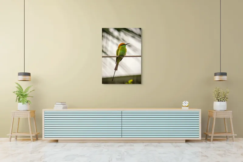 Tablou Canvas, "Pasărea culorilor tropicale odihnindu-se", Pene, Verde, Portocaliu, Fragil, Sârmă, Ochi, Vedere, Aripi, Contrast, Linia, Natură, 70 x 100 cm – poza 5