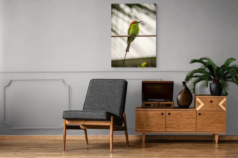 Tablou Canvas, "Pasărea culorilor tropicale odihnindu-se", Pene, Verde, Portocaliu, Fragil, Sârmă, Ochi, Vedere, Aripi, Contrast, Linia, Natură, 70 x 100 cm – poza 6