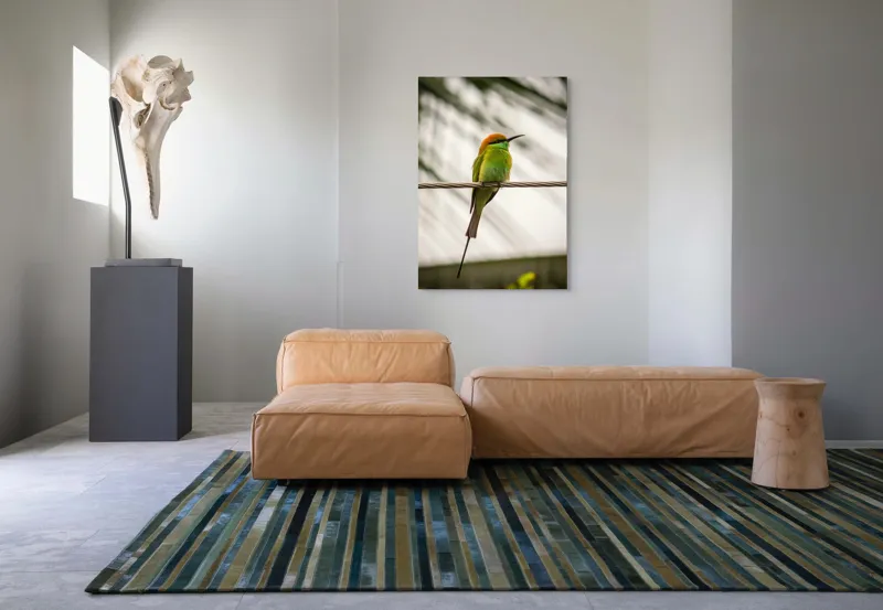 Tablou Canvas, "Pasărea culorilor tropicale odihnindu-se", Pene, Verde, Portocaliu, Fragil, Sârmă, Ochi, Vedere, Aripi, Contrast, Linia, Natură, 70 x 100 cm – poza 7