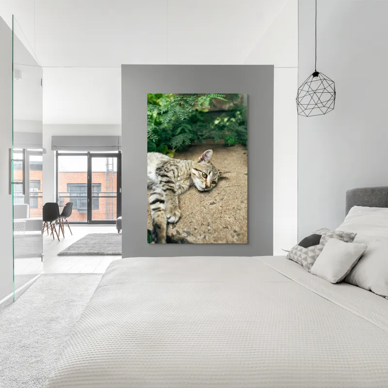 Tablou Canvas, "Timp de odihnă pentru pisică", Pisică, Relaxată, Blană, Verdeață, Pardoseală, Ochișori, Urechi, Ștrengărie, Ghemuită, Odihnă, 100 x 150 cm – poza 5