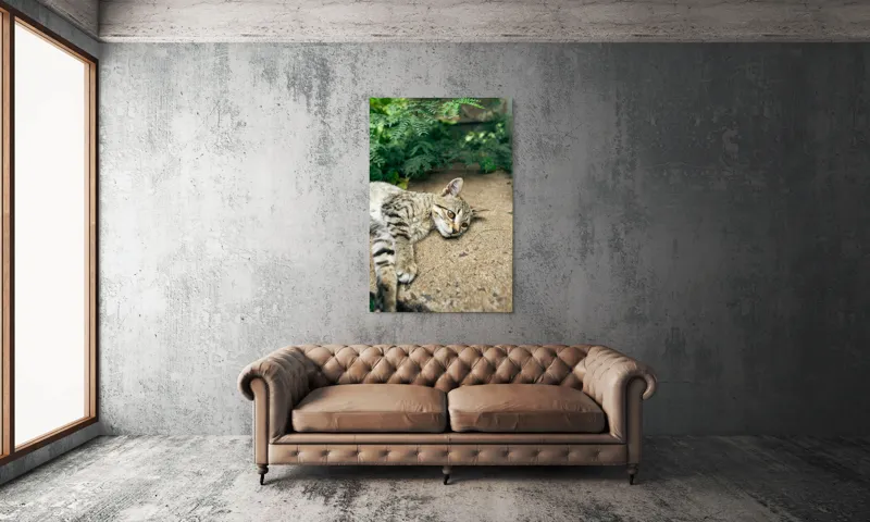 Tablou Canvas, "Timp de odihnă pentru pisică", Pisică, Relaxată, Blană, Verdeață, Pardoseală, Ochișori, Urechi, Ștrengărie, Ghemuită, Odihnă, 100 x 150 cm – poza 6