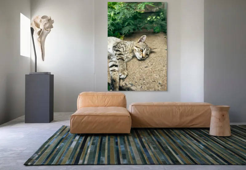 Tablou Canvas, "Timp de odihnă pentru pisică", Pisică, Relaxată, Blană, Verdeață, Pardoseală, Ochișori, Urechi, Ștrengărie, Ghemuită, Odihnă, 100 x 150 cm – poza 7