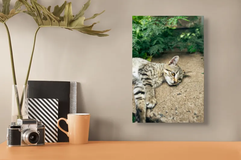 Tablou Canvas, "Timp de odihnă pentru pisică", Pisică, Relaxată, Blană, Verdeață, Pardoseală, Ochișori, Urechi, Ștrengărie, Ghemuită, Odihnă, 26 x 39 cm – poza 3