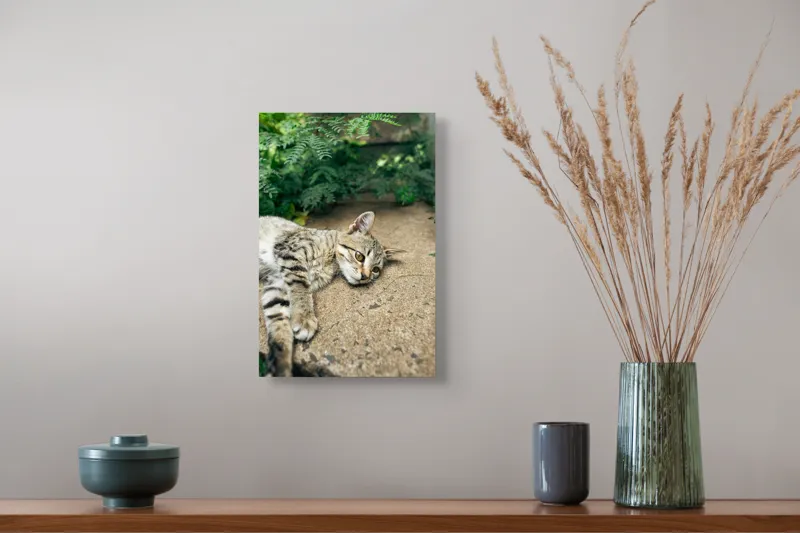 Tablou Canvas, "Timp de odihnă pentru pisică", Pisică, Relaxată, Blană, Verdeață, Pardoseală, Ochișori, Urechi, Ștrengărie, Ghemuită, Odihnă, 26 x 39 cm – poza 5