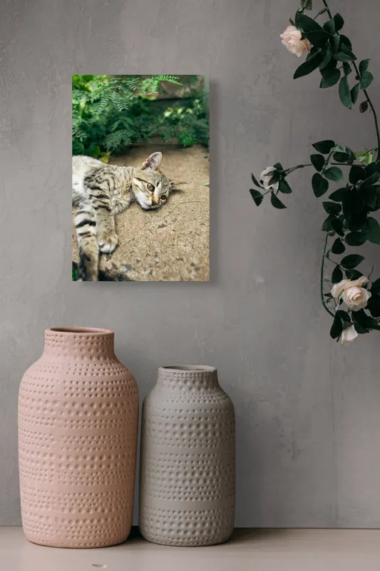 Tablou Canvas, "Timp de odihnă pentru pisică", Pisică, Relaxată, Blană, Verdeață, Pardoseală, Ochișori, Urechi, Ștrengărie, Ghemuită, Odihnă, 26 x 39 cm – poza 6