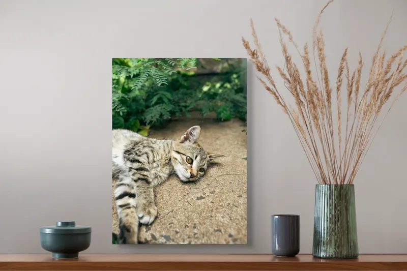 Tablou Canvas, "Timp de odihnă pentru pisică", Pisică, Relaxată, Blană, Verdeață, Pardoseală, Ochișori, Urechi, Ștrengărie, Ghemuită, Odihnă, 39 x 54 cm – poza 3