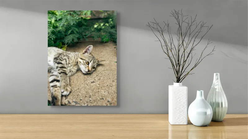 Tablou Canvas, "Timp de odihnă pentru pisică", Pisică, Relaxată, Blană, Verdeață, Pardoseală, Ochișori, Urechi, Ștrengărie, Ghemuită, Odihnă, 39 x 54 cm – poza 4